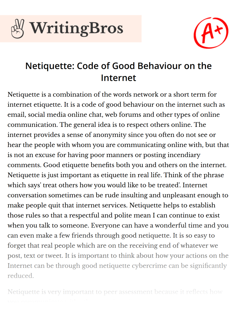 Netiquette: Code of Good Behaviour on the Internet essay