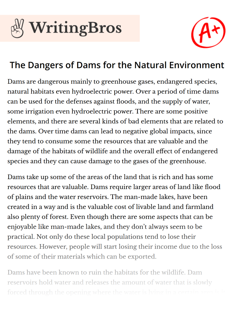 The Dangers of Dams for the Natural Environment essay