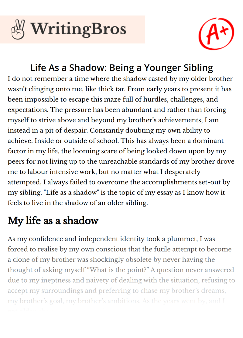 Life As a Shadow: Being a Younger Sibling essay