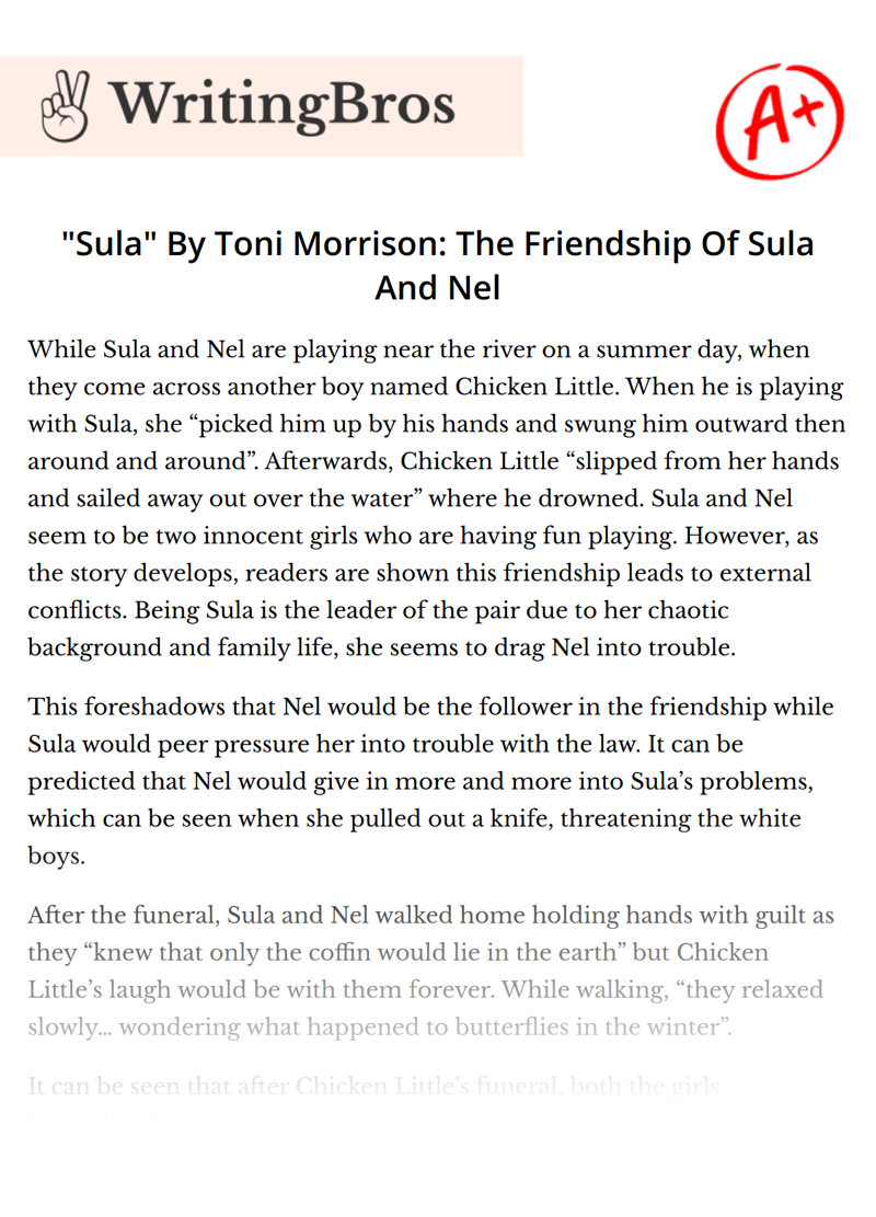 "Sula" By Toni Morrison: The Friendship Of Sula And Nel essay