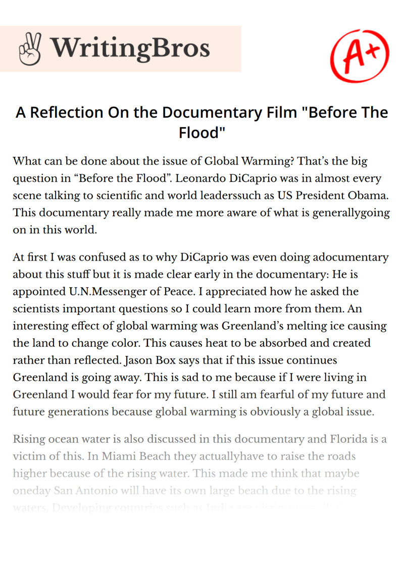 A Reflection On the Documentary Film "Before The Flood" essay