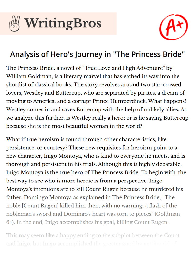 Analysis of Hero's Journey in "The Princess Bride" essay