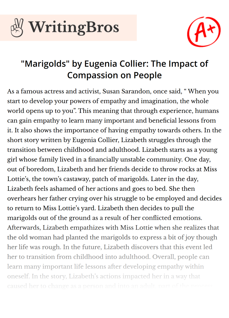 "Marigolds" by Eugenia Collier: The Impact of Compassion on People essay