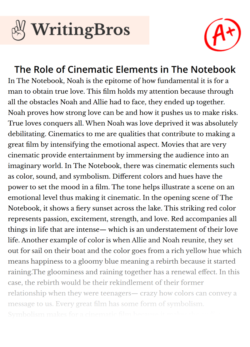 The Role of Cinematic Elements in The Notebook essay