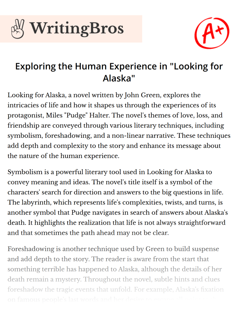 Exploring the Human Experience in "Looking for Alaska" essay