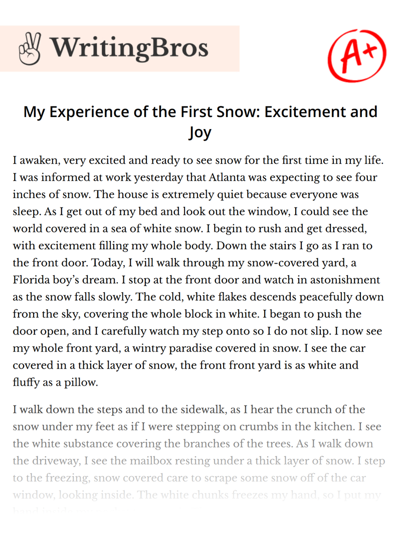 My Experience of the First Snow: Excitement and Joy essay