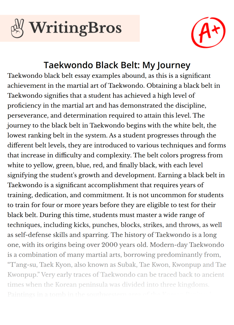 Taekwondo Black Belt: My Journey essay