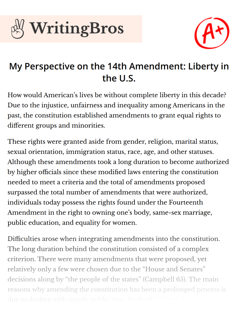 My Perspective on the 14th Amendment: Liberty in the U.S. essay