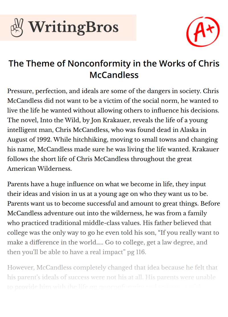The Theme of Nonconformity in the Works of Chris McCandless essay
