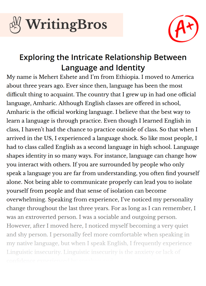 Exploring the Intricate Relationship Between Language and Identity essay