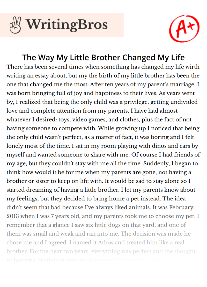 The Way My Little Brother Changed My Life essay