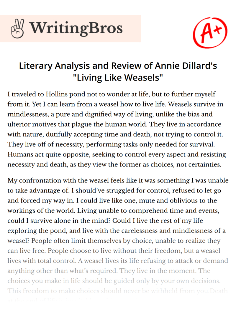 Literary Analysis and Review of Annie Dillard's "Living Like Weasels" essay