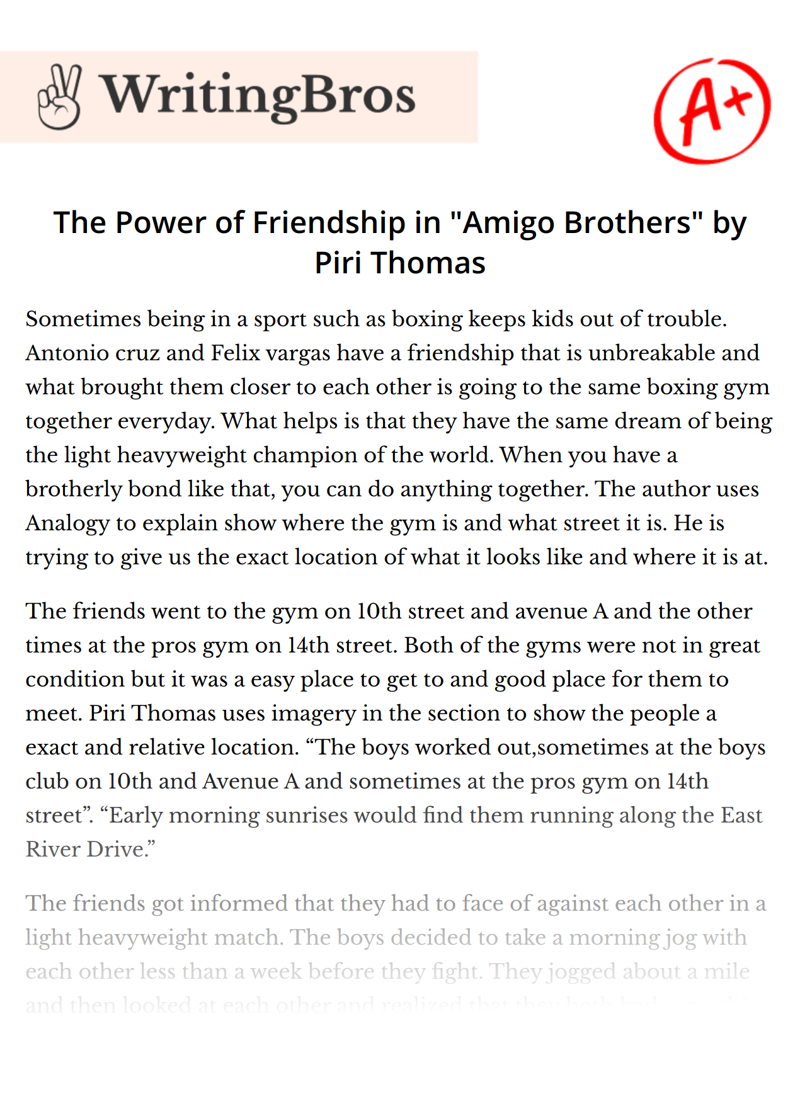 The Power of Friendship in "Amigo Brothers" by Piri Thomas essay