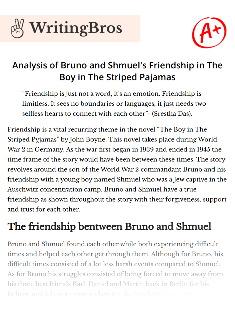 Analysis of Bruno and Shmuel's Friendship in The Boy in The Striped Pajamas essay
