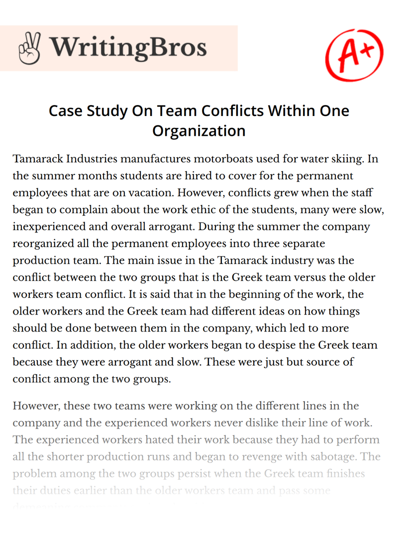 Case Study On Team Conflicts Within One Organization essay