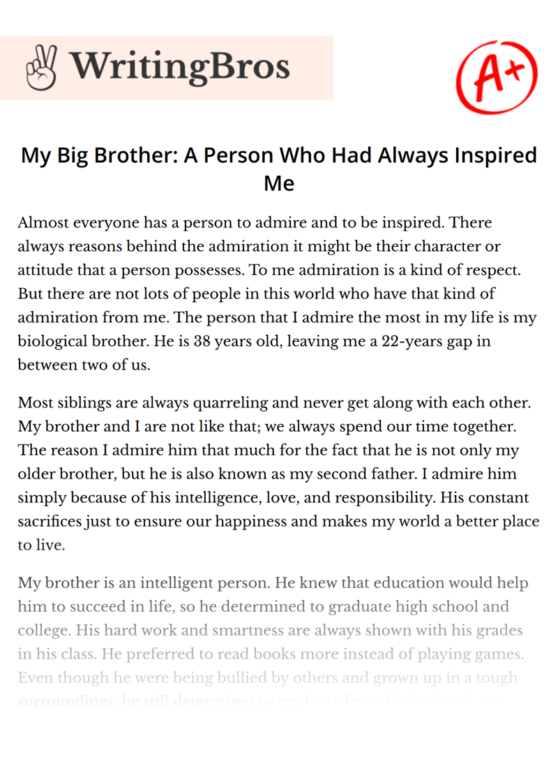 My Big Brother: A Person Who Had Always Inspired Me essay