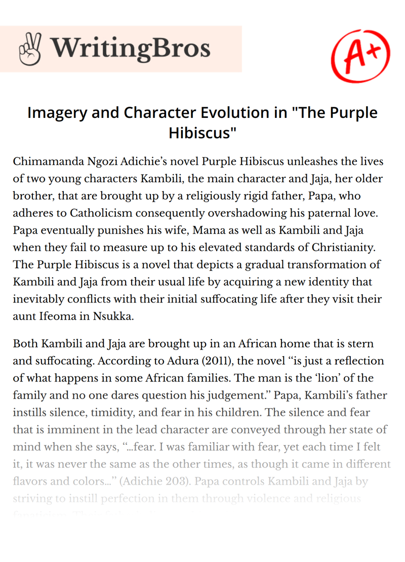 Imagery and Character Evolution in "The Purple Hibiscus" essay