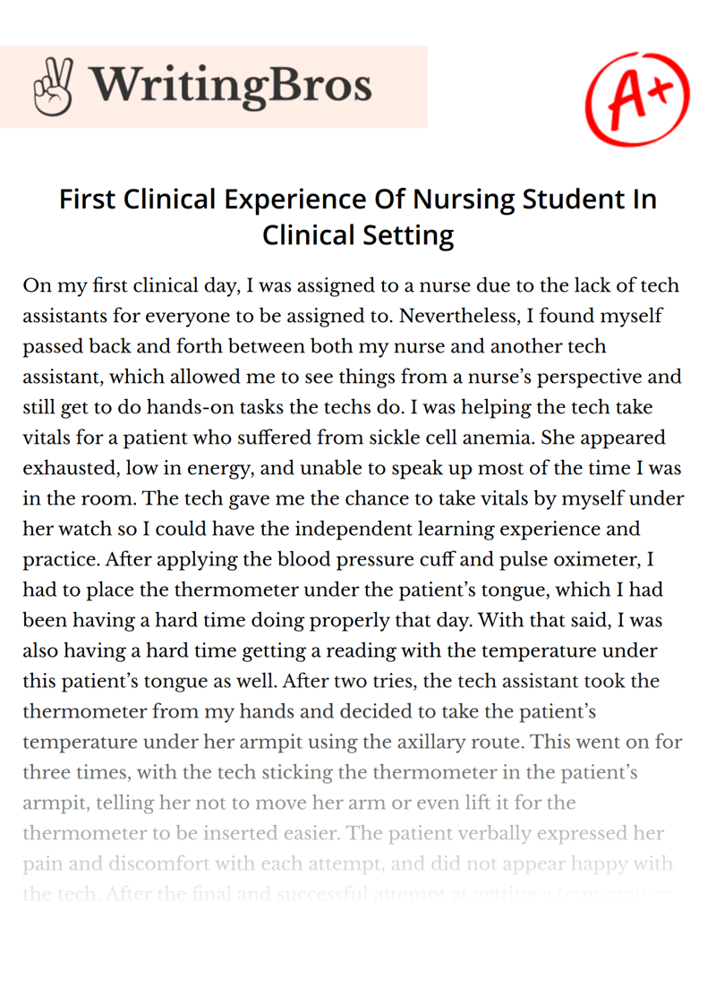 First Clinical Experience Of Nursing Student In Clinical Setting essay