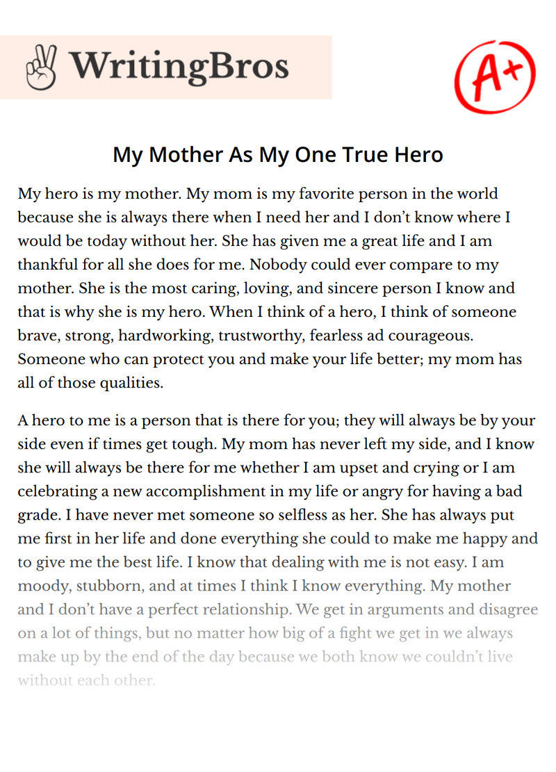 My Mother As My One True Hero essay