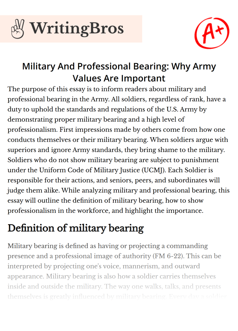 Military And Professional Bearing: Why Army Values Are Important essay