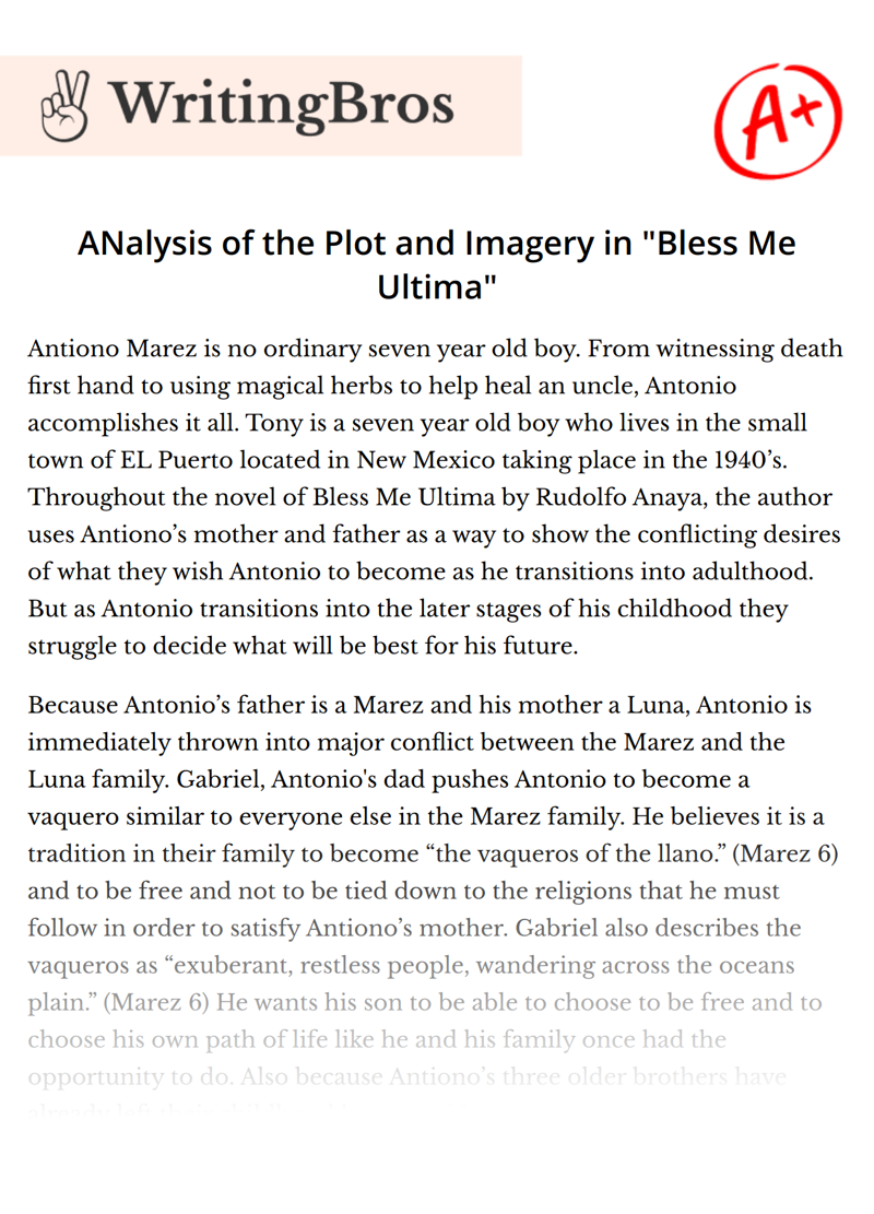 ANalysis of the Plot and Imagery in "Bless Me Ultima" essay