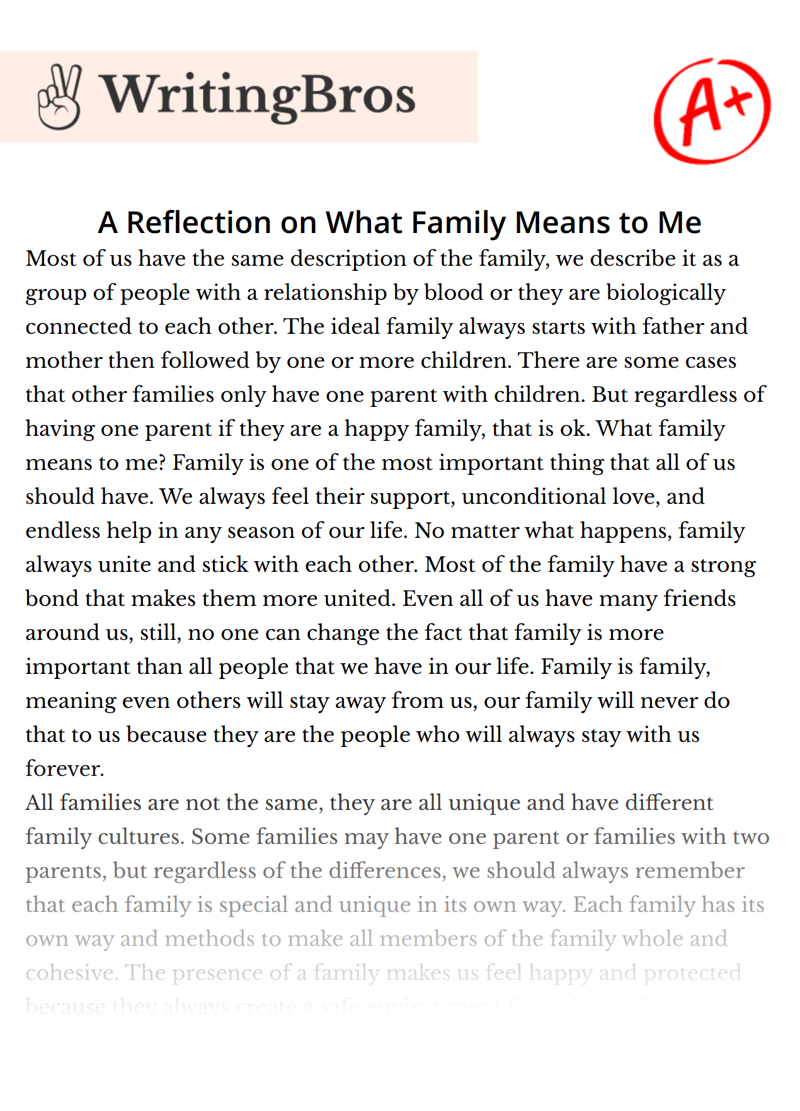 A Reflection on What Family Means to Me essay