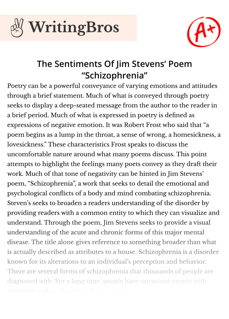 The Sentiments Of Jim Stevens’ Poem “Schizophrenia” essay