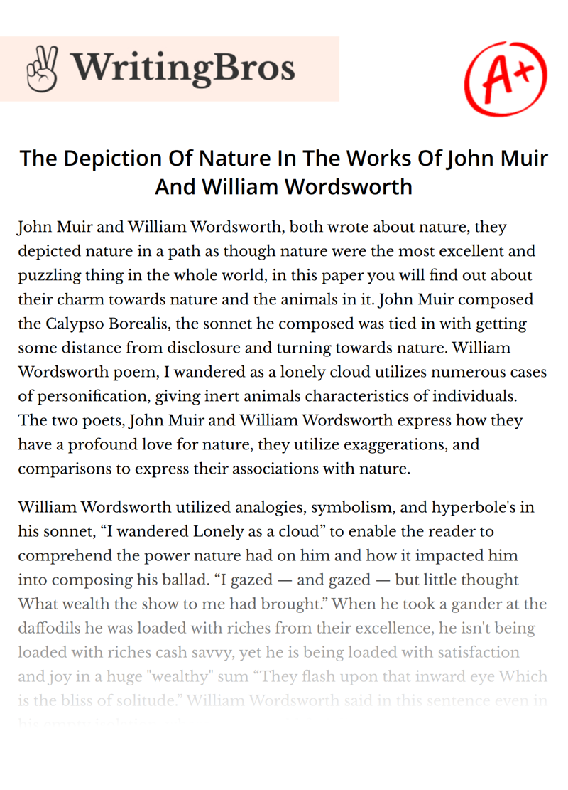 The Depiction Of Nature In The Works Of John Muir And William Wordsworth essay