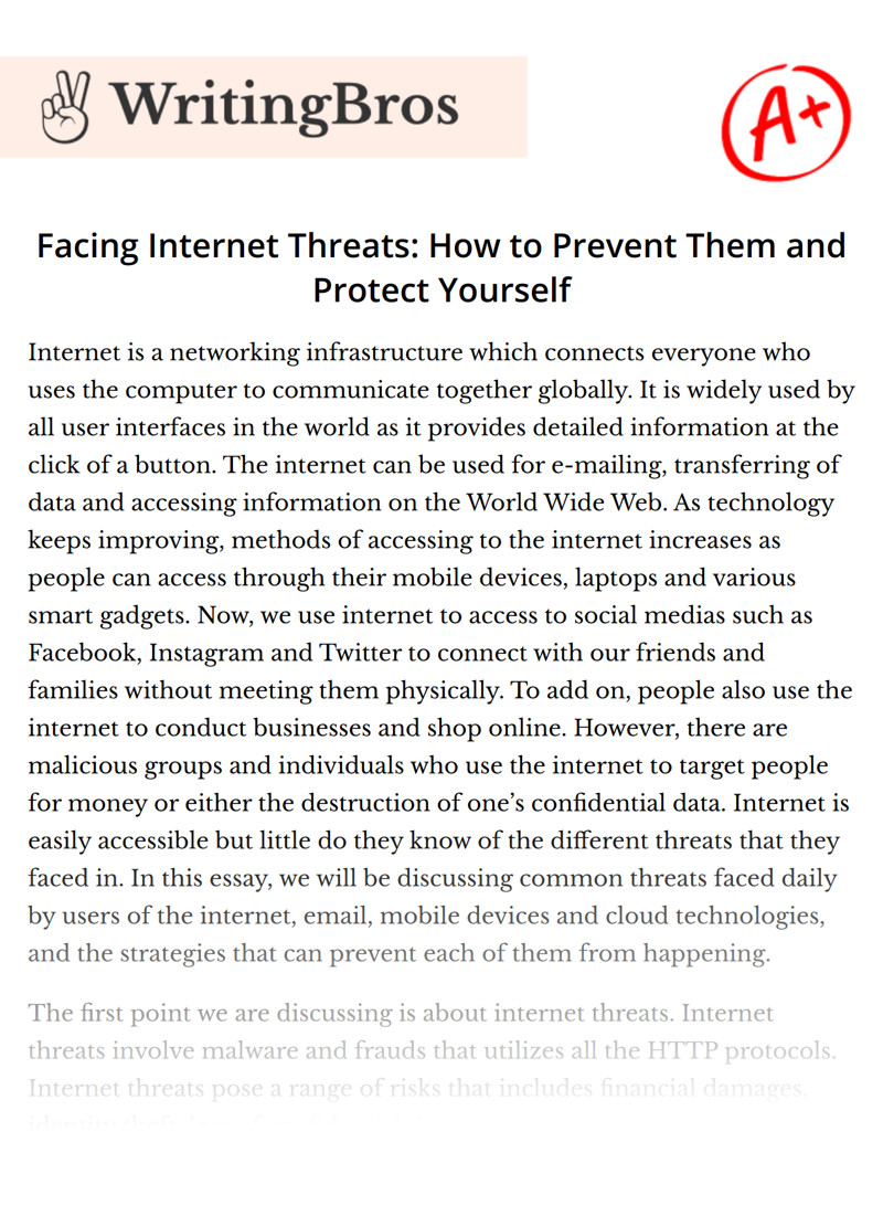 Facing Internet Threats: How to Prevent Them and Protect Yourself essay
