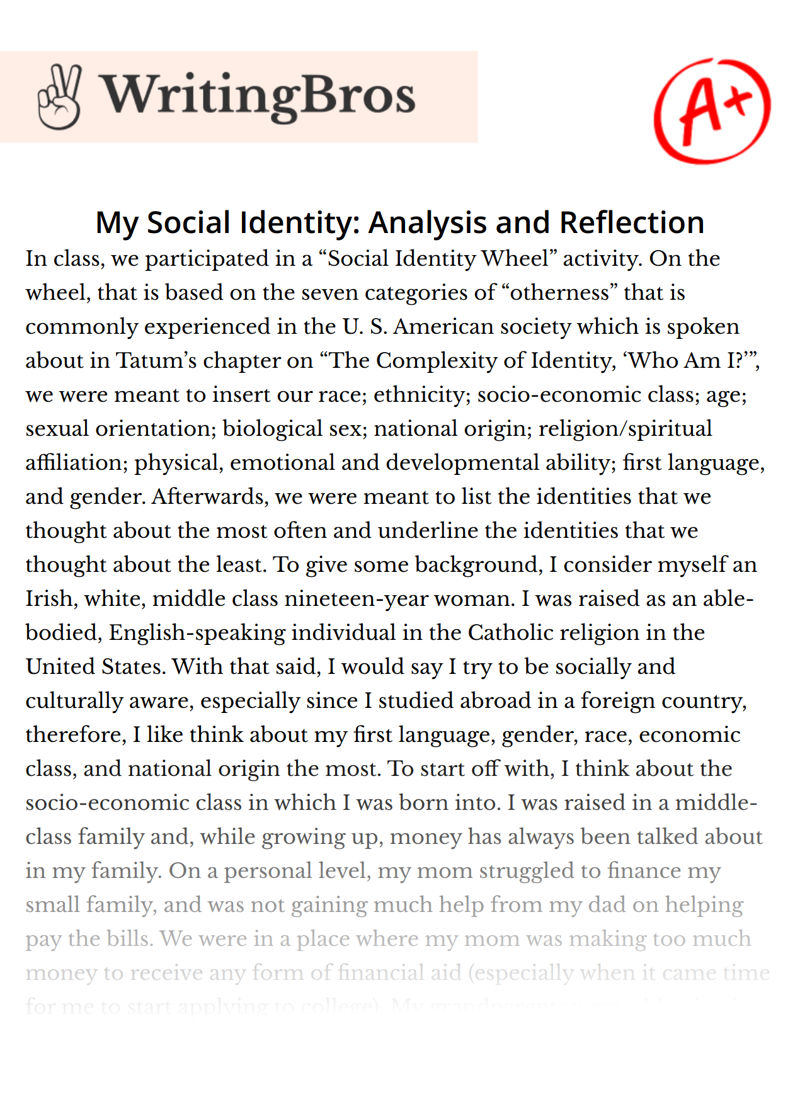 My Social Identity: Analysis and Reflection essay