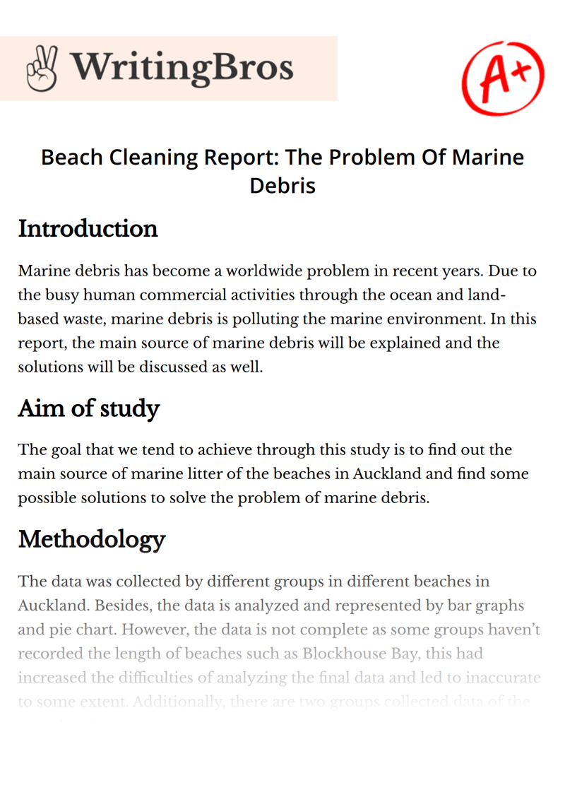 Beach Cleaning Report: The Problem Of Marine Debris essay