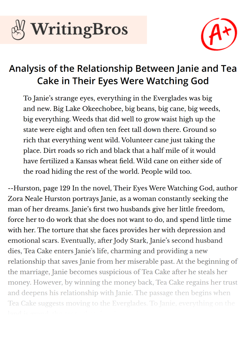 Analysis of the Relationship Between Janie and Tea Cake in Their Eyes Were Watching God essay