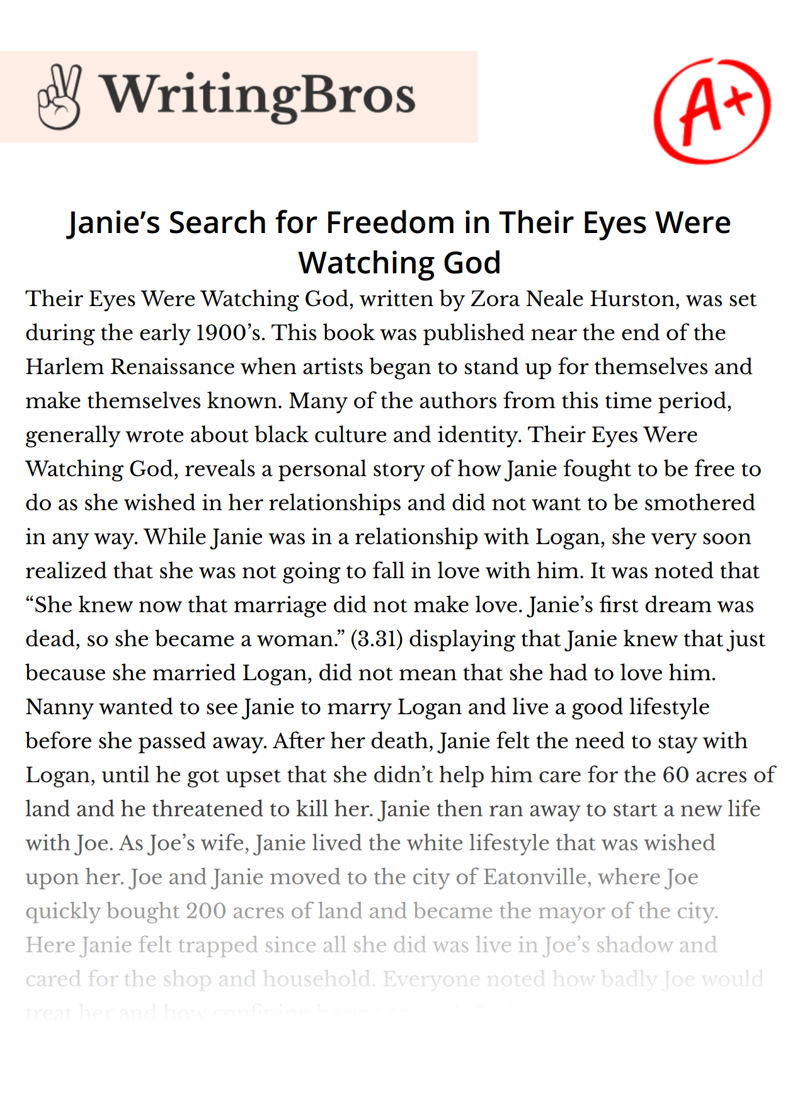 Janie’s Search for Freedom in Their Eyes Were Watching God essay