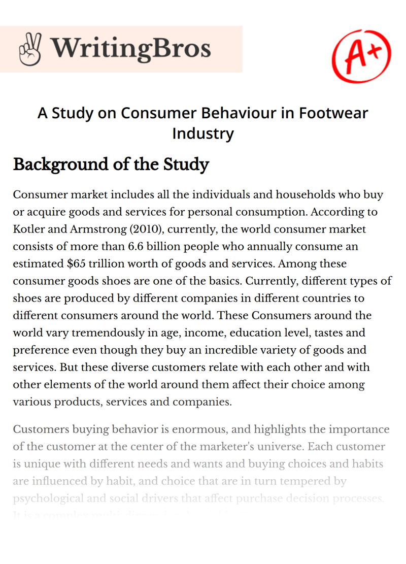 A Study on Consumer Behaviour in Footwear Industry essay