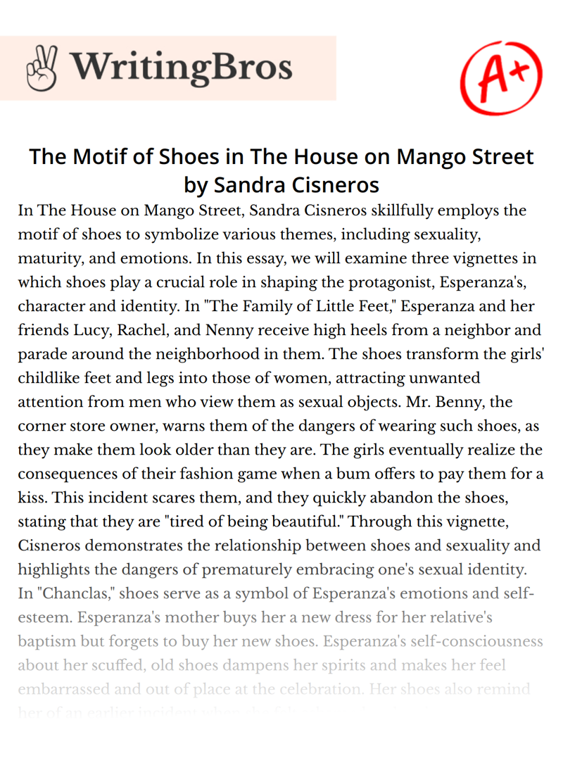 The Motif of Shoes in The House on Mango Street by Sandra Cisneros essay