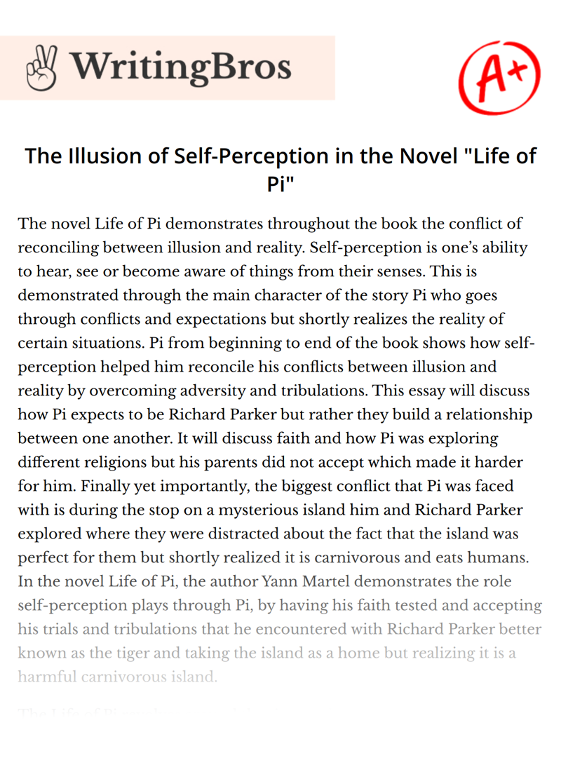 The Illusion of Self-Perception in the Novel "Life of Pi" essay