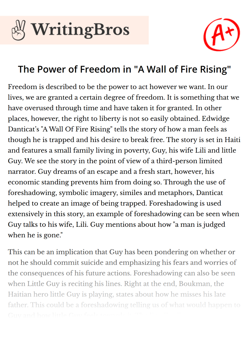 The Power of Freedom in "A Wall of Fire Rising" essay