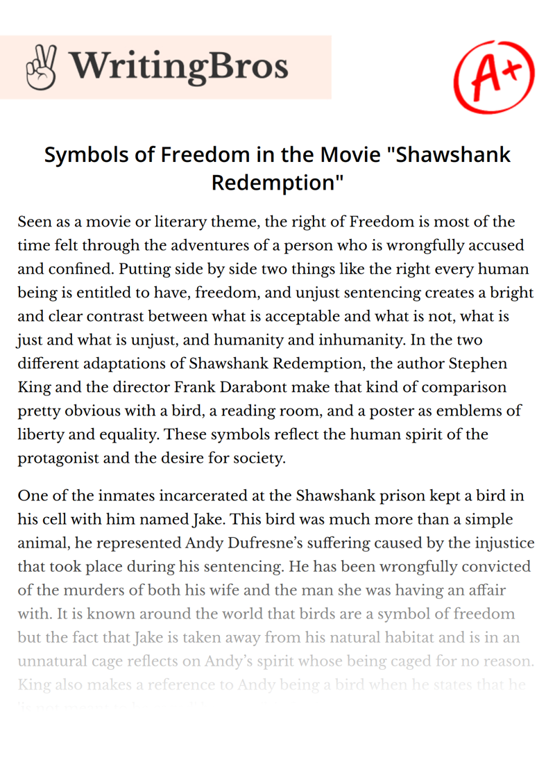 Symbols of Freedom in the Movie "Shawshank Redemption" essay