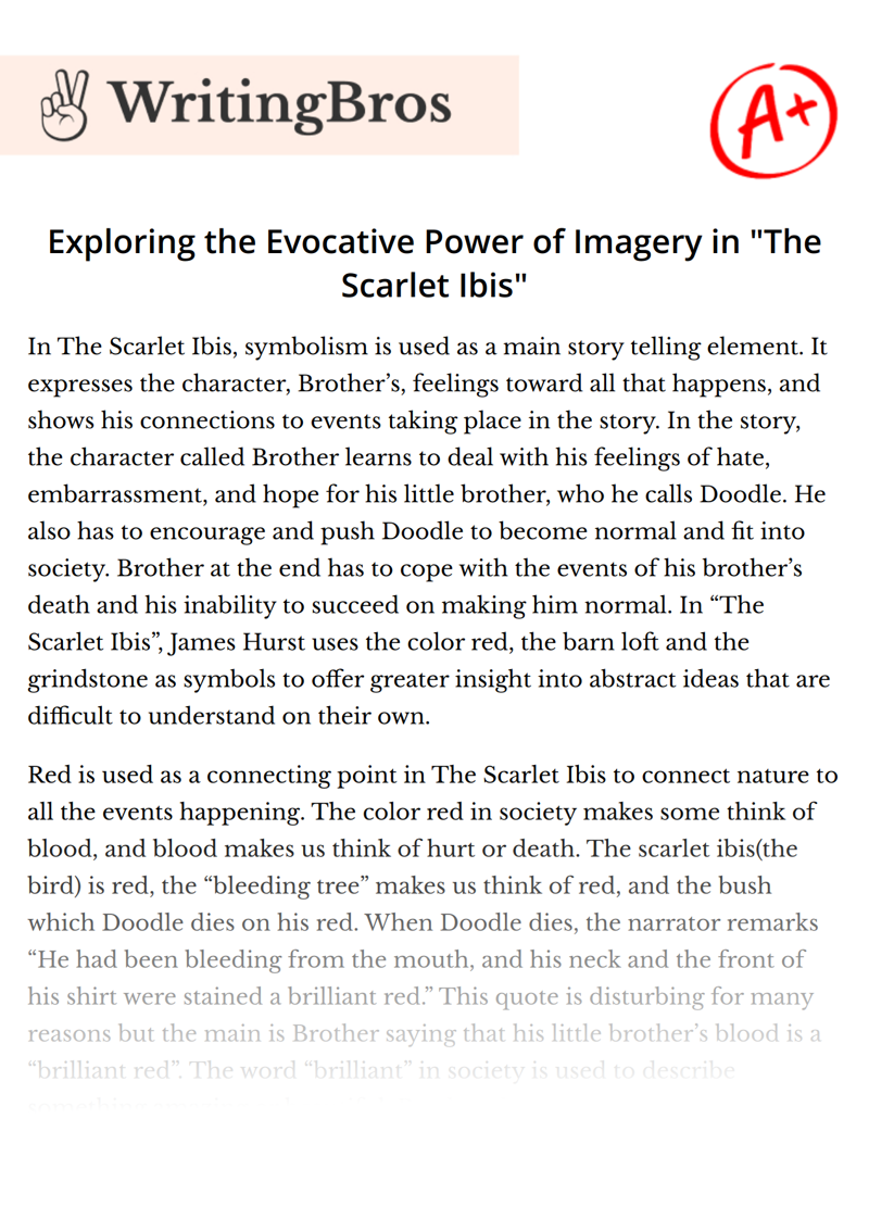 Exploring the Evocative Power of Imagery in "The Scarlet Ibis" essay