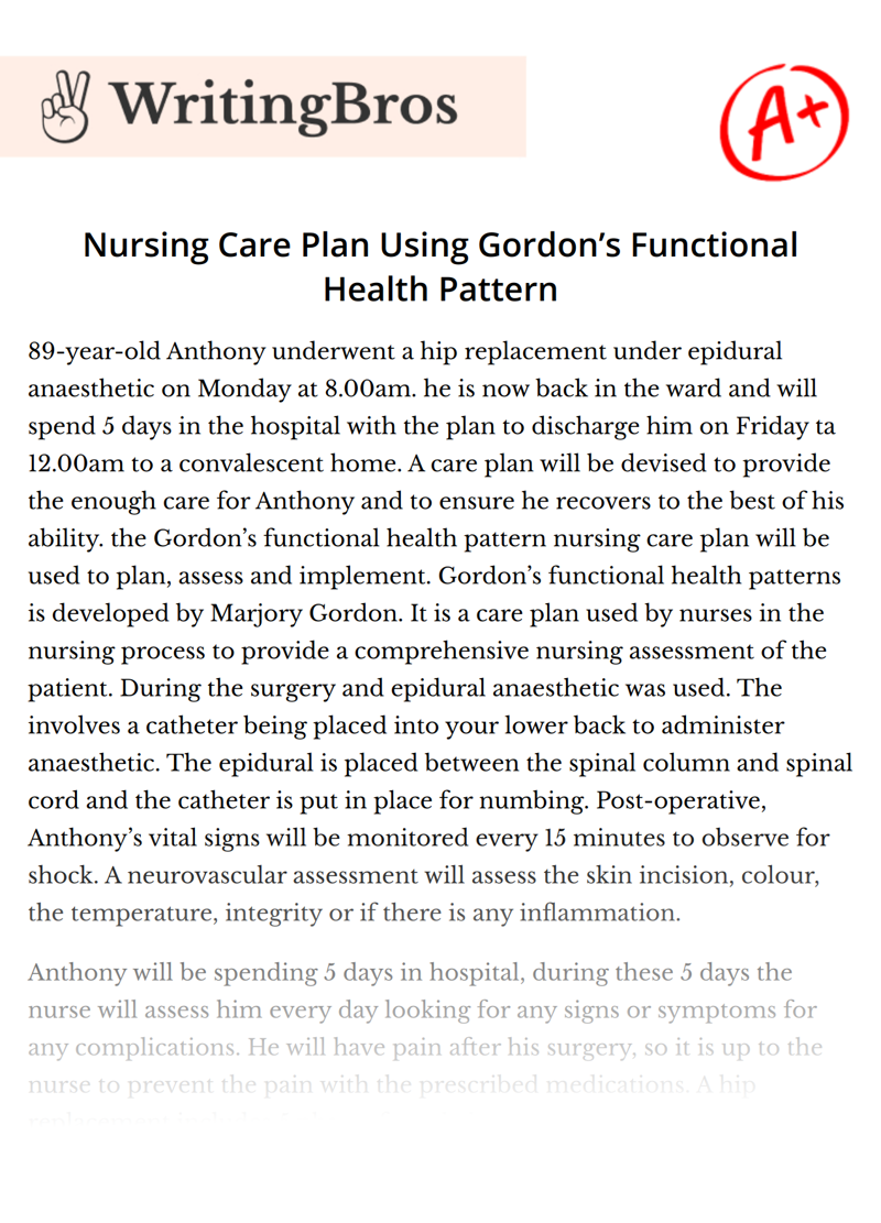 Nursing Care Plan Using Gordon’s Functional Health Pattern essay