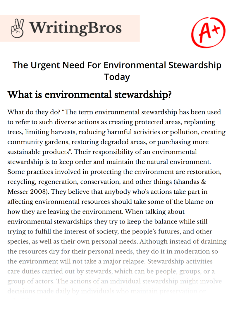 The Urgent Need For Environmental Stewardship Today essay