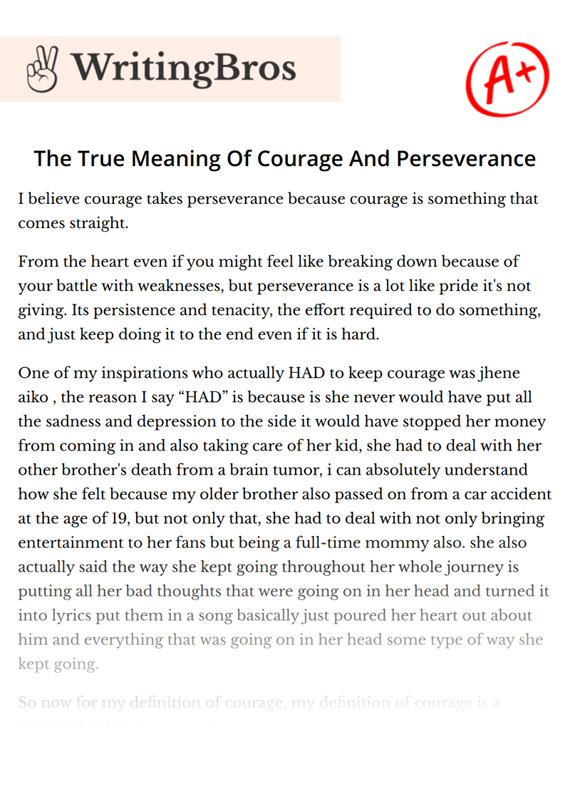 The True Meaning Of Courage And Perseverance essay