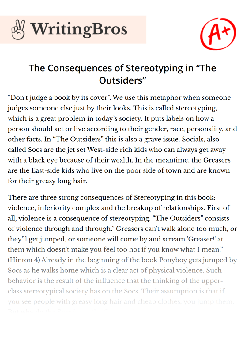 The Consequences of Stereotyping in “The Outsiders” essay