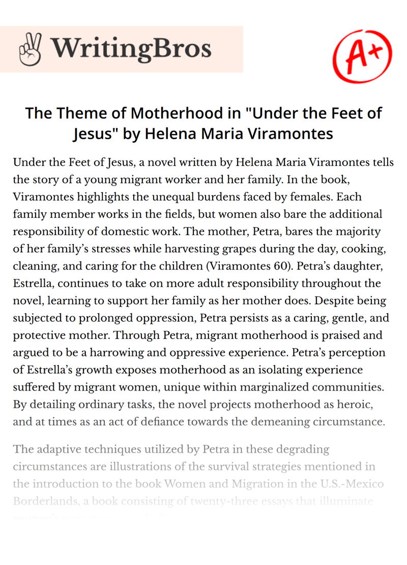 The Theme of Motherhood in "Under the Feet of Jesus" by Helena Maria Viramontes essay